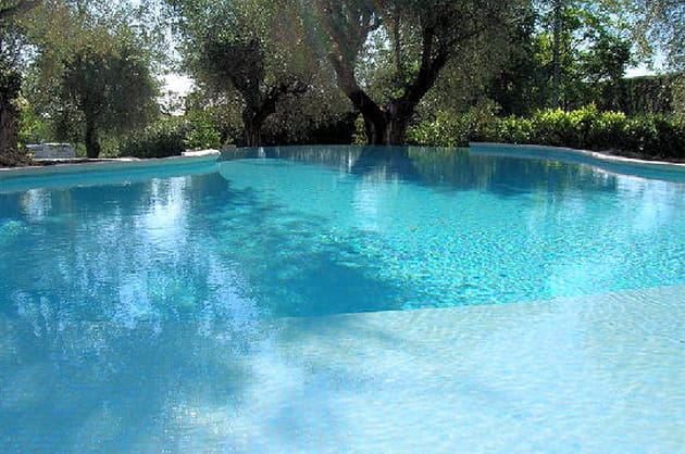 A l'ombre des oliviers