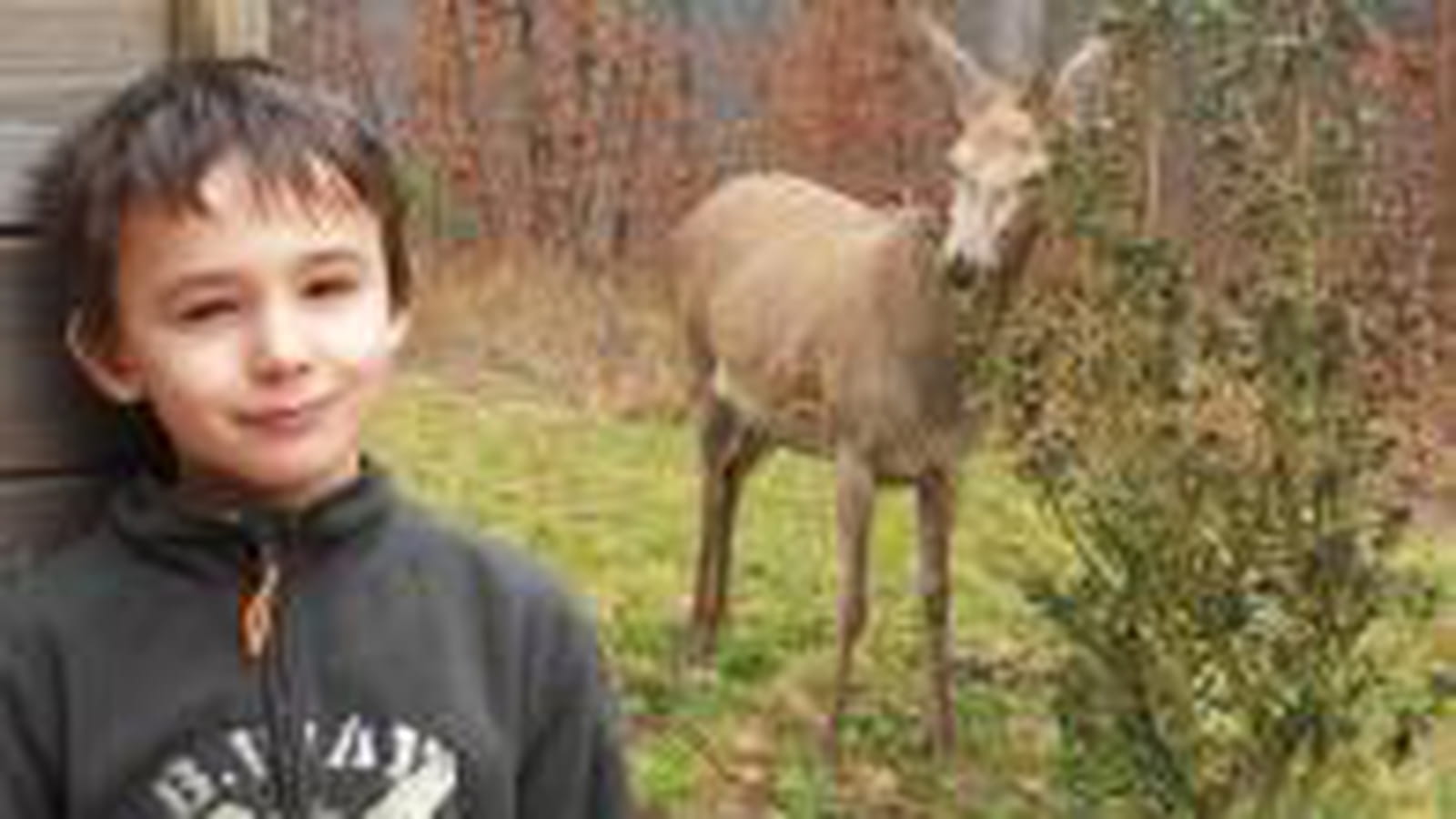 Clément à la forêt