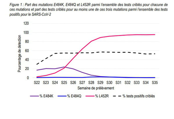 Part des mutations E484K, E484Q et L452R parmi l’ensemble des tests criblés pour chacune de ces mutations et part des tests criblés pour au moins une de ces trois mutations parmi l’ensemble des tests positifs pour le SARS-CoV-2