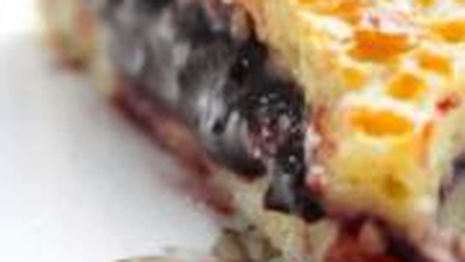 Gâteau basque