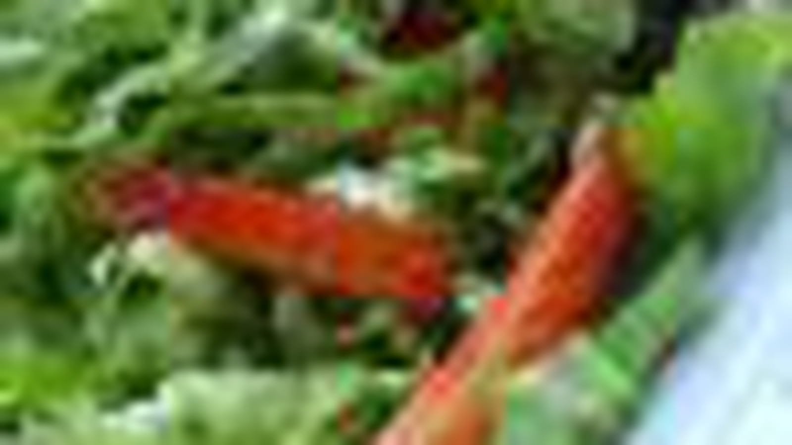 Batavia croquante aux fraises