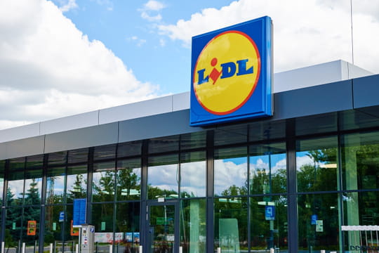 &Agrave; tout petit prix chez Lidl, cette plante transforme les massifs d'automne en un clin d'&oelig;il