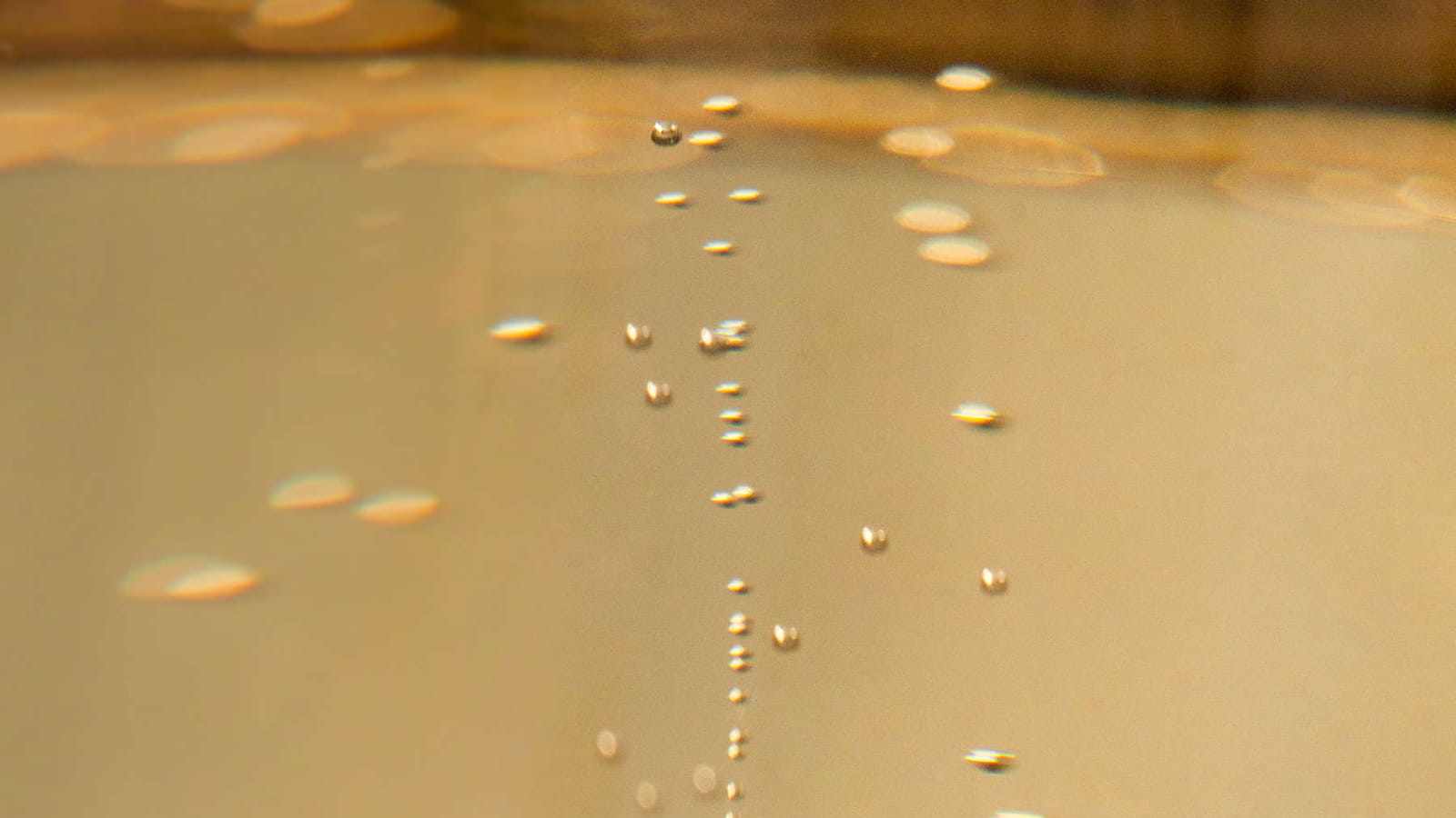 Les bulles du chamapgne