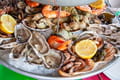 Fruits de mer&nbsp;: liste des coquillages et crustac&eacute;s, conseils culinaires