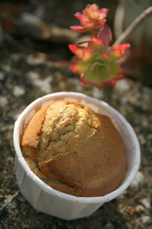 Muffins dorés à la châtaigne