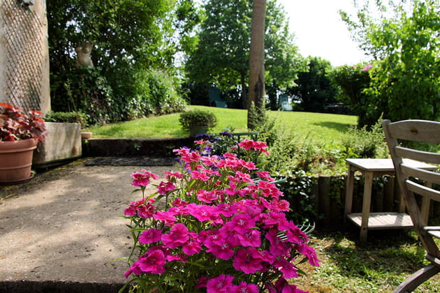 Un joli rose lumineux