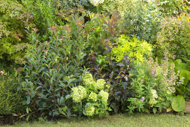 ... et de couleurs !