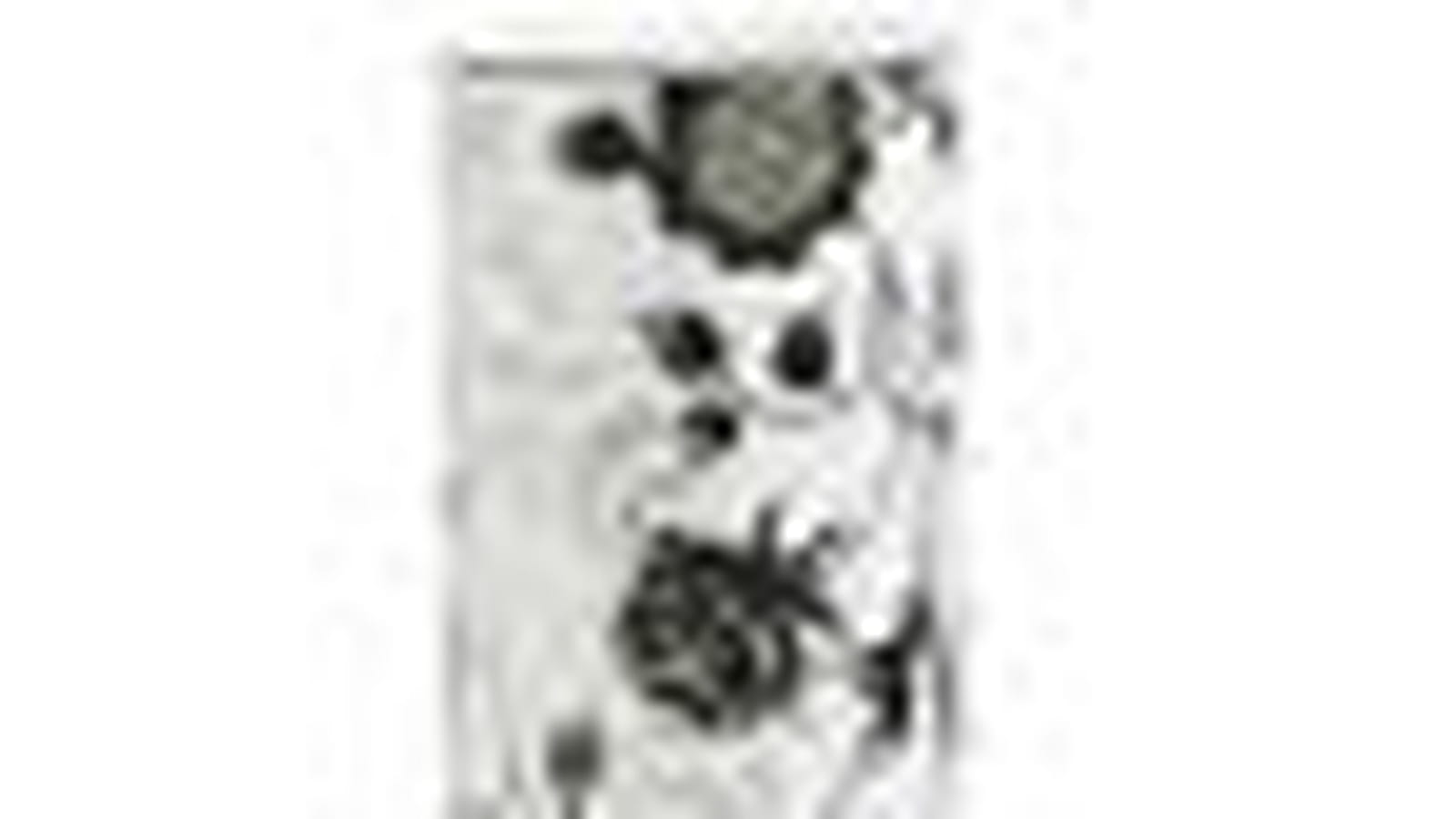 Le vase "Meizhou"