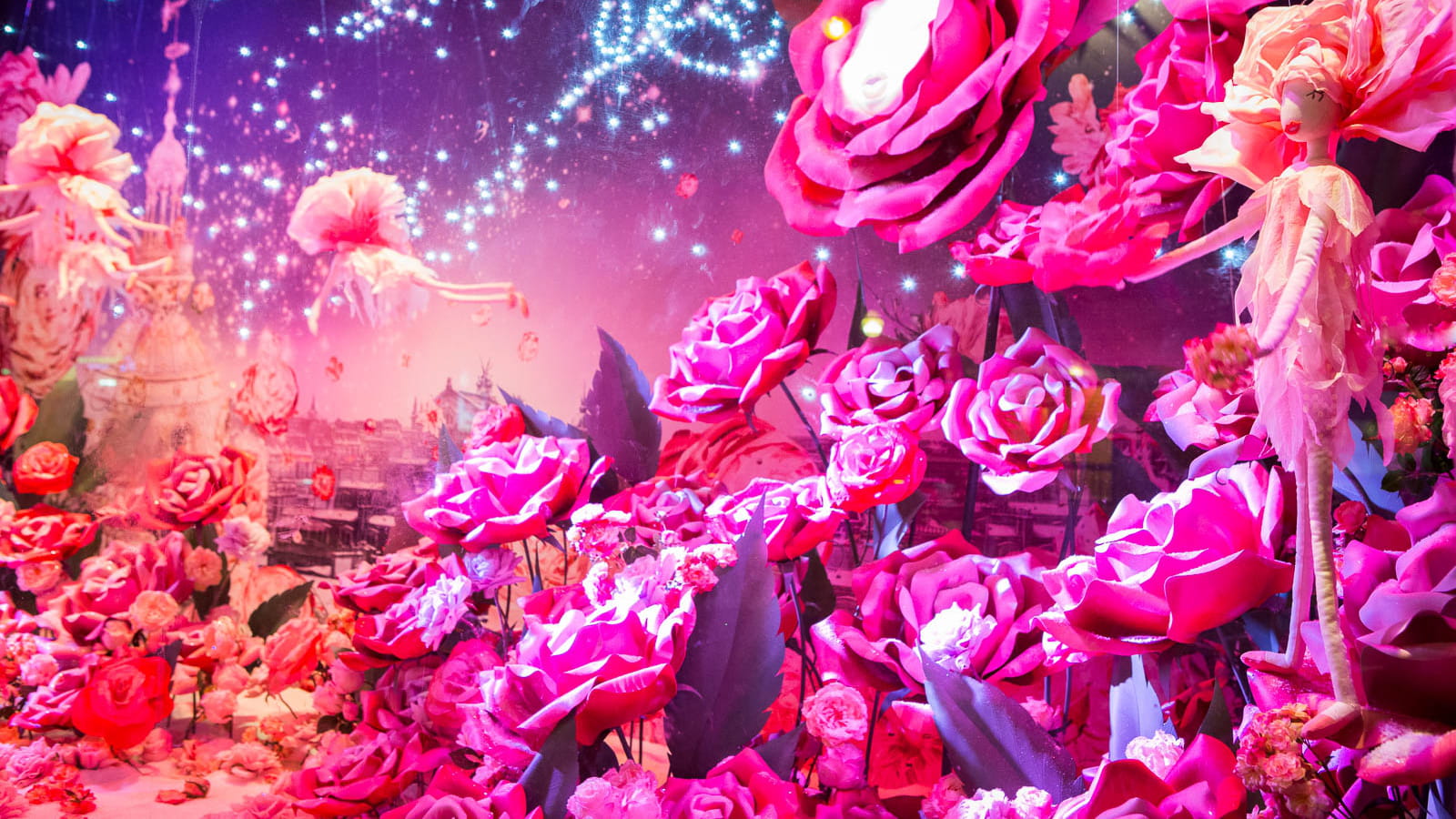 Ballet de roses au Printemps