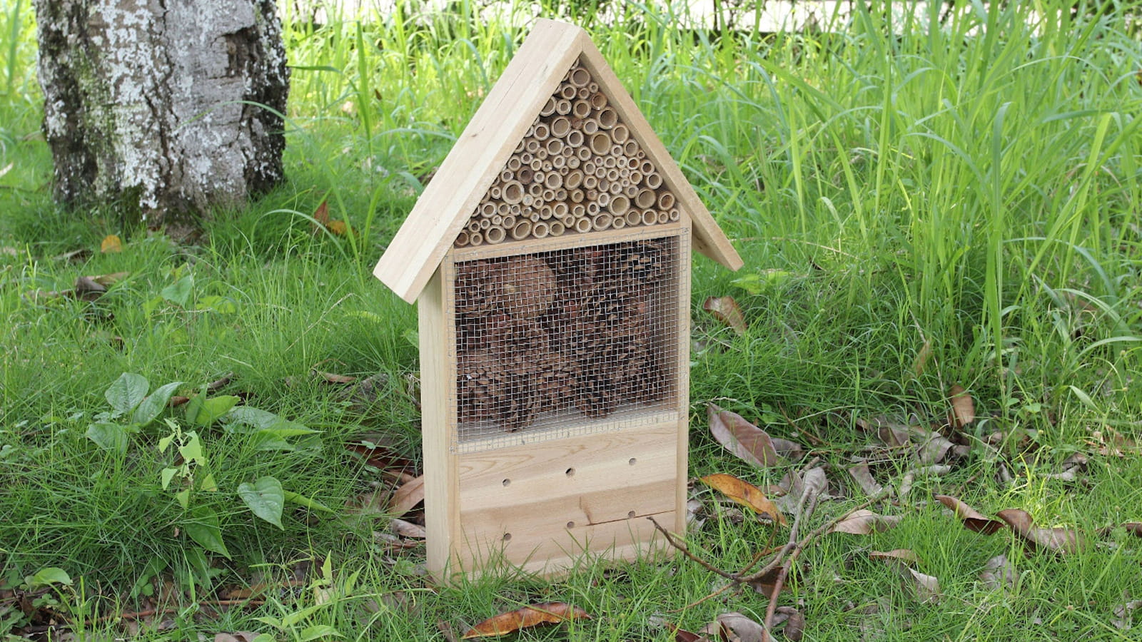 Hôtel à insectes maison