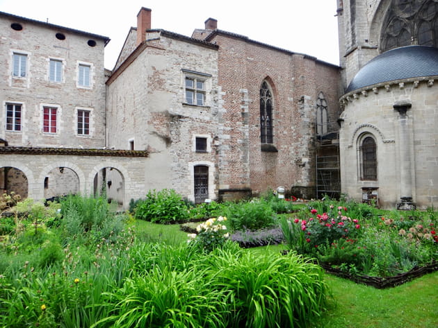 Des plantes médicinales
