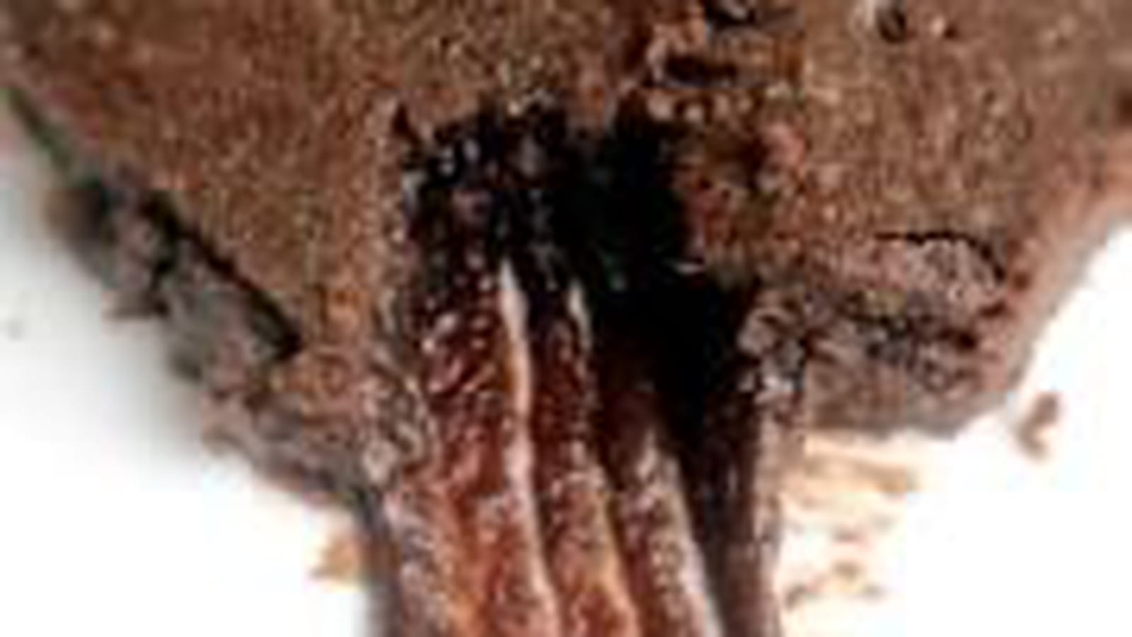 Fondant chocolat