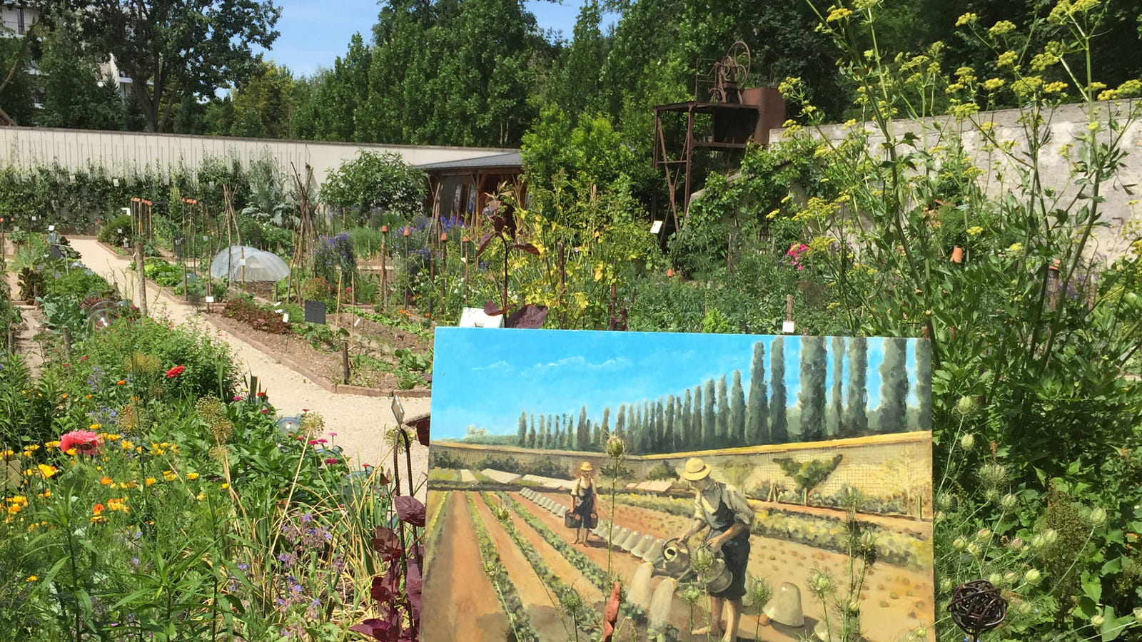 Le potager