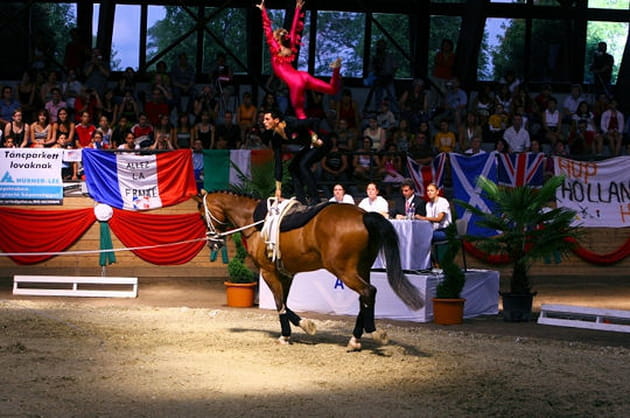 L'&eacute;quitation artistique