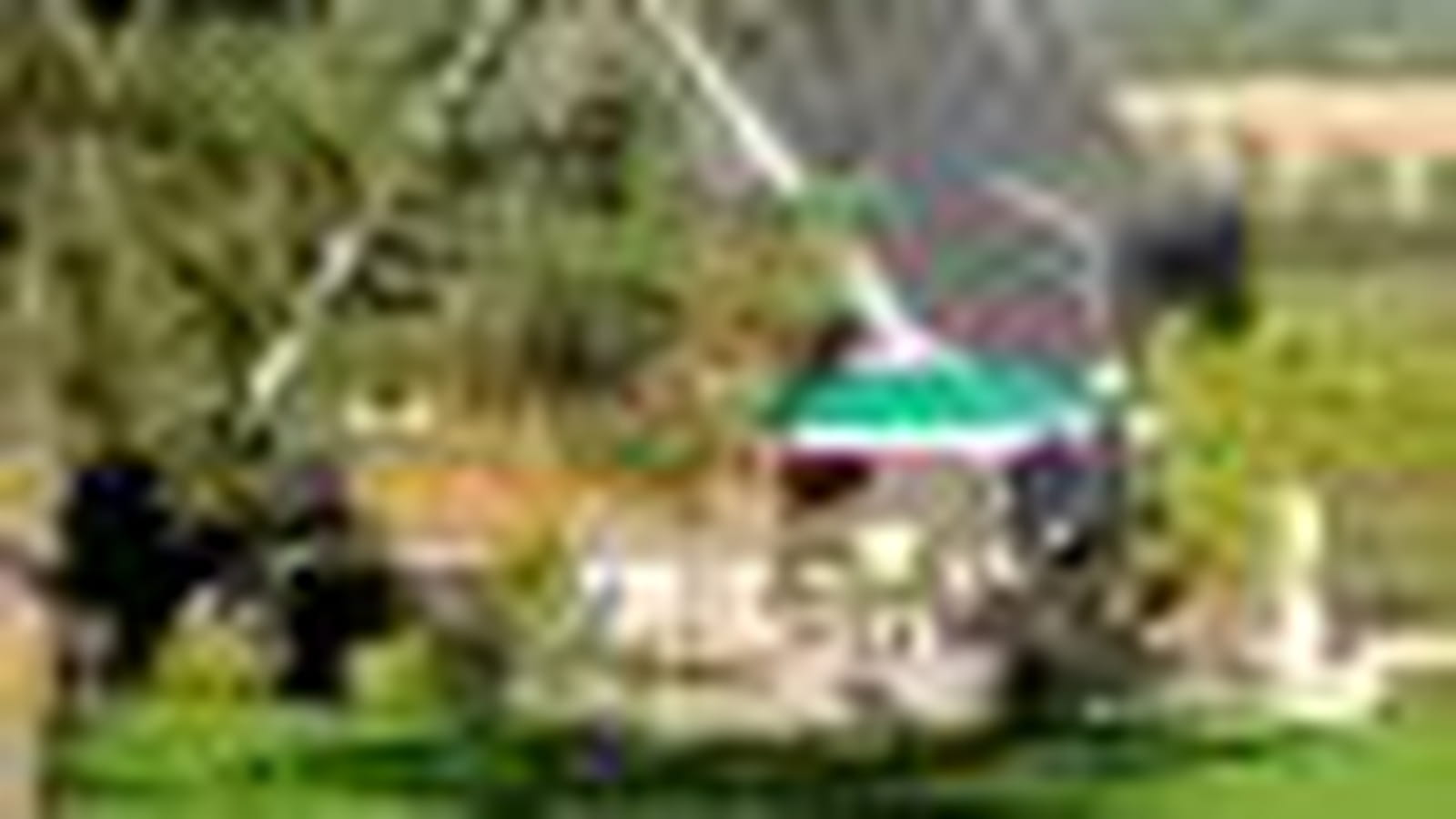 Verdure