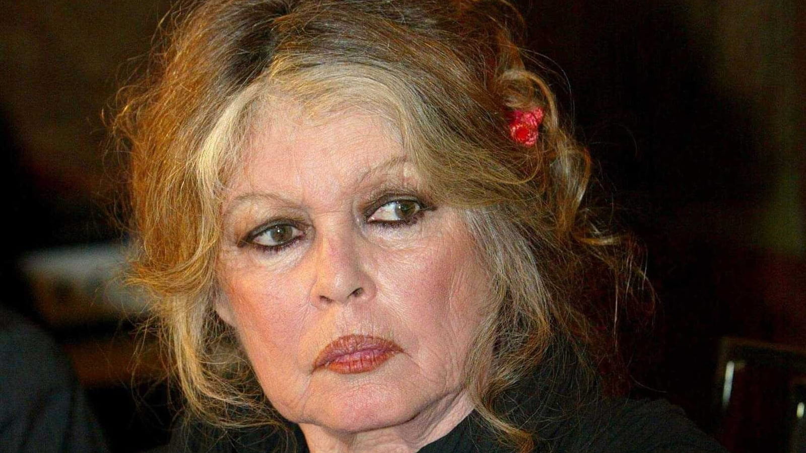 Brigitte Bardot