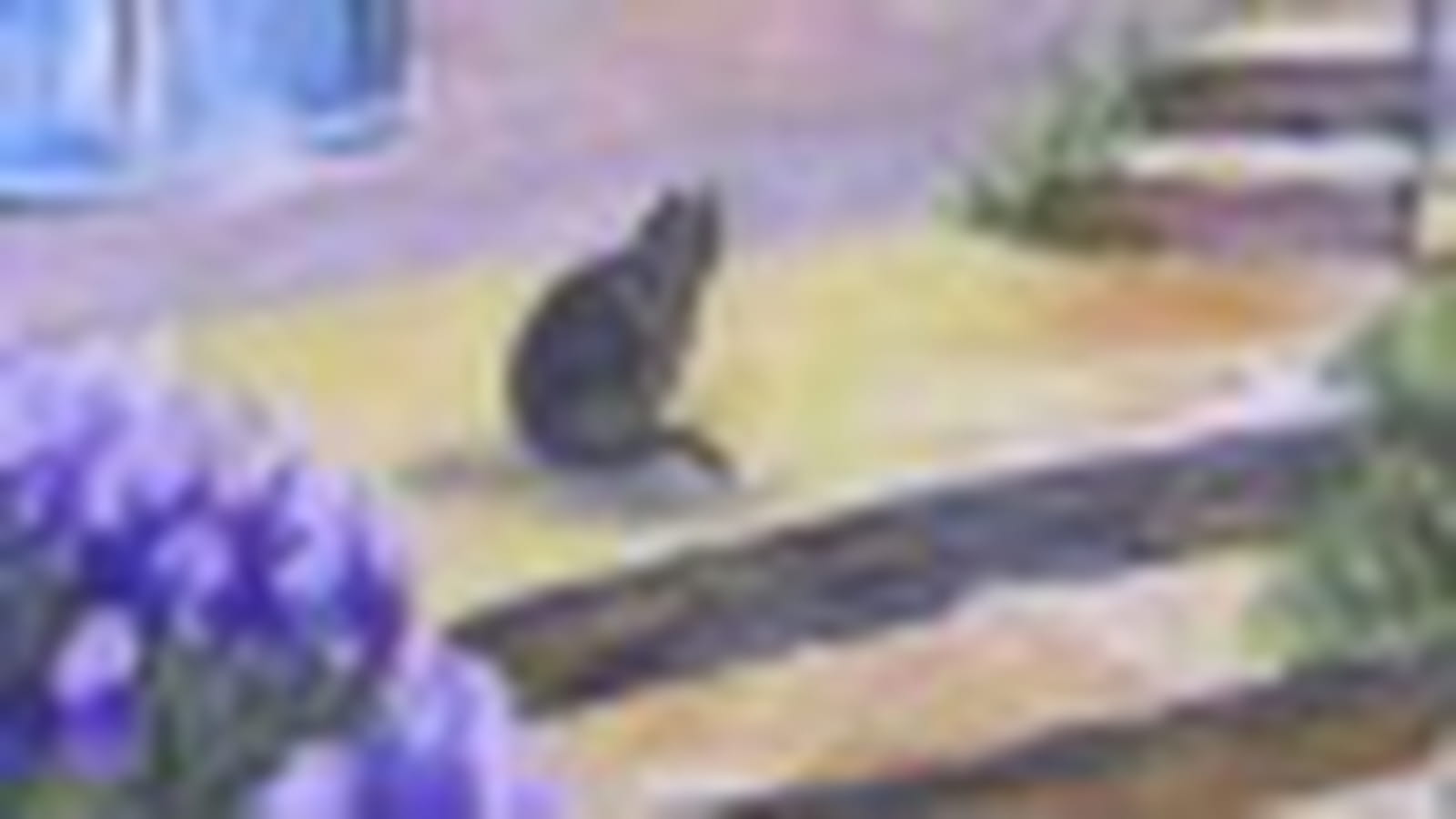 Otto le chat