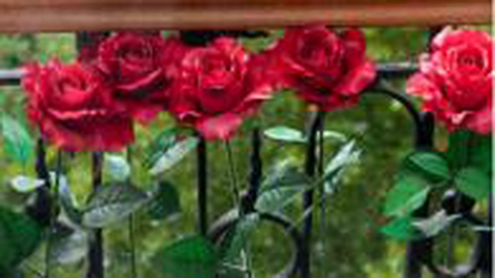 Avec des roses en tissu