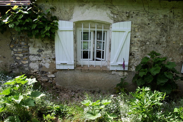 De charmantes petites fenêtres