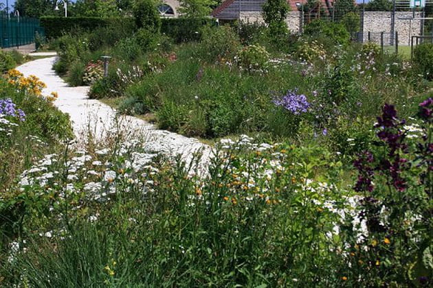 Un jardin public bio