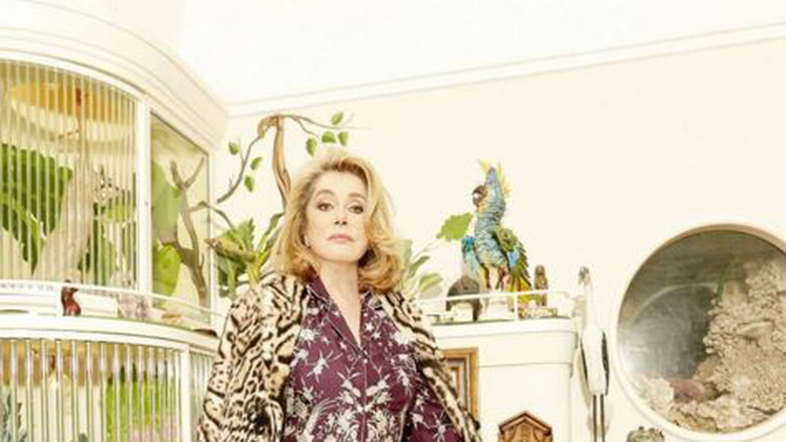 Roberto Cavalli