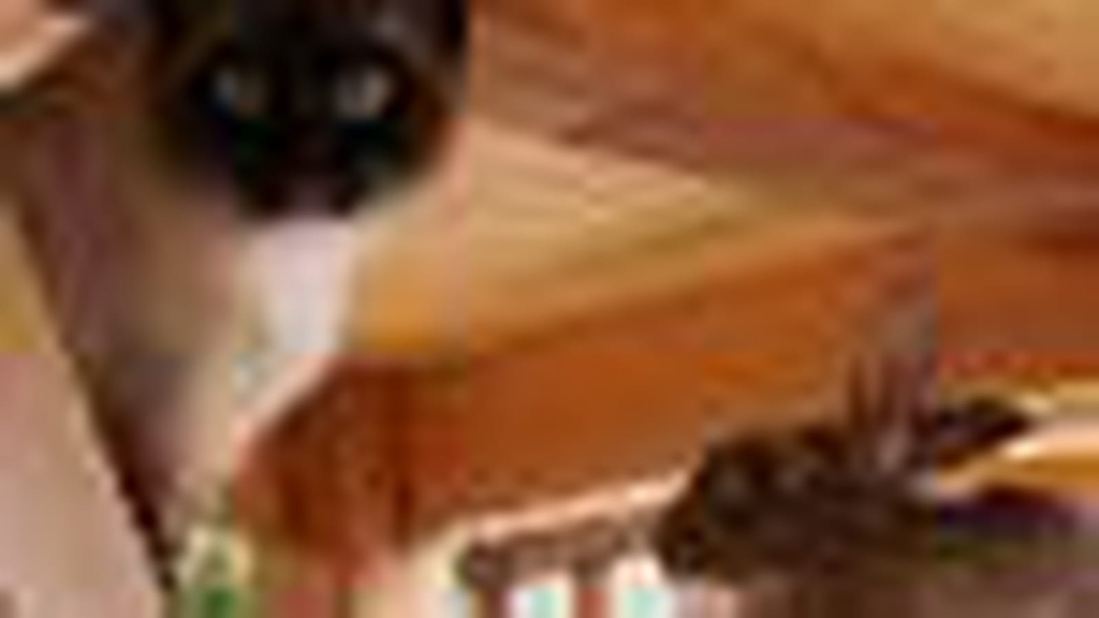 Sous la table