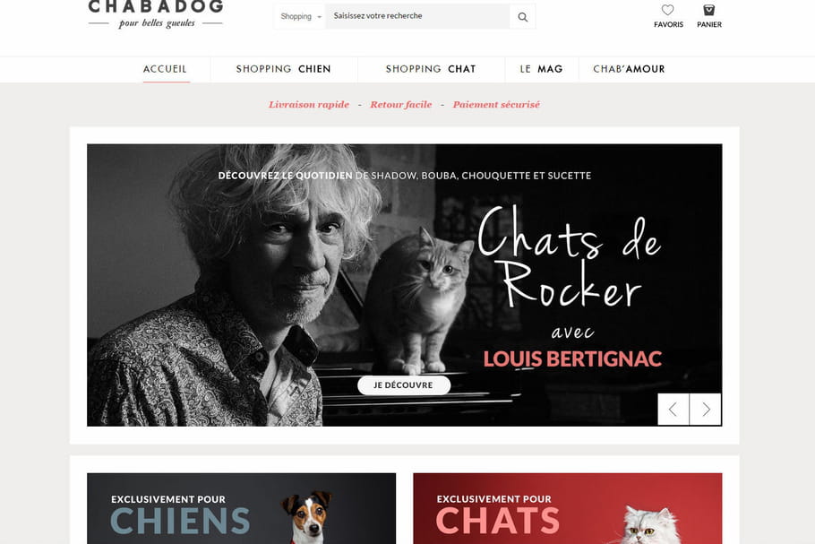 Chabadog : le site dédié aux chiens et chats
