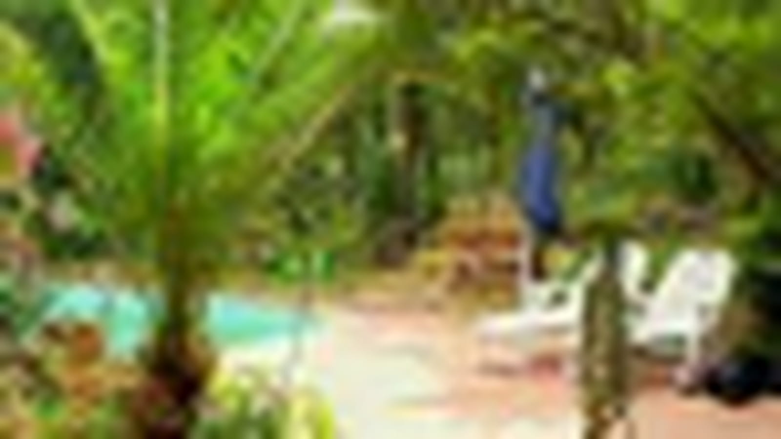 Jardin