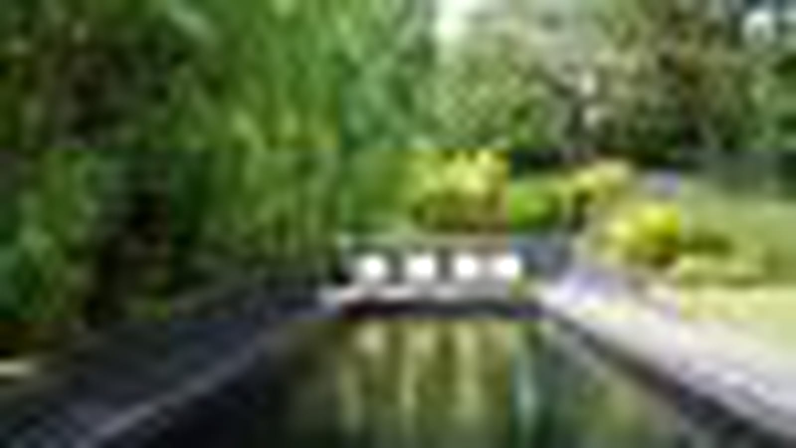 Moderne et naturel