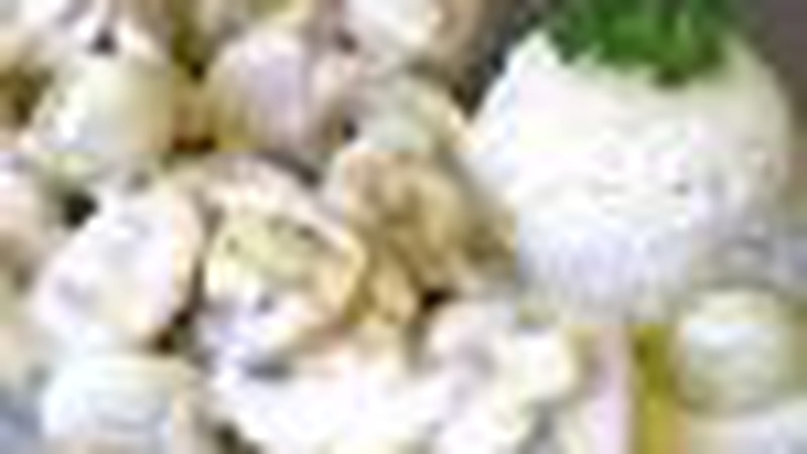 Blanquette