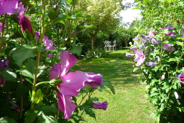 Une touche d'exotisme