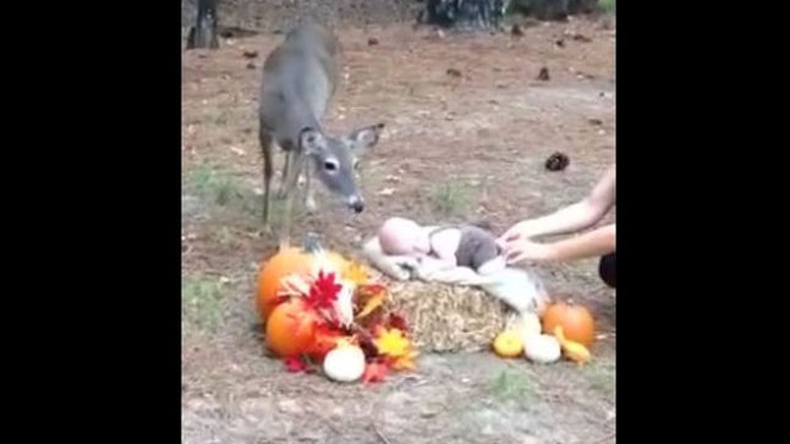 Une séance photo spéciale