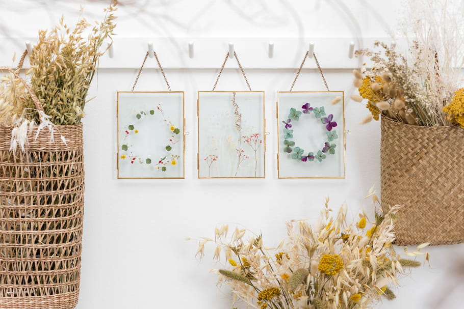 Comment faire un herbier ? Classique comme revisité !