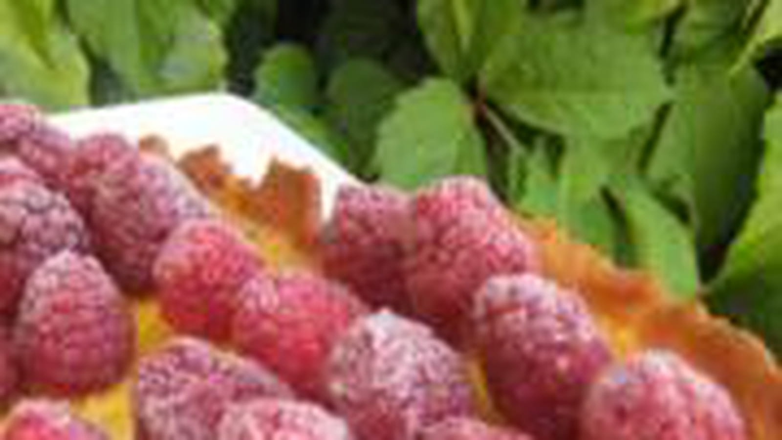 Tarte chocolat blanc-framboise