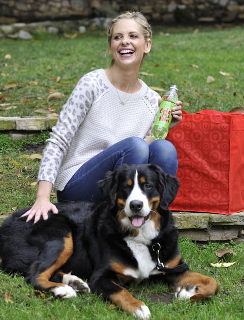 Sarah Michelle Gellar et Boris