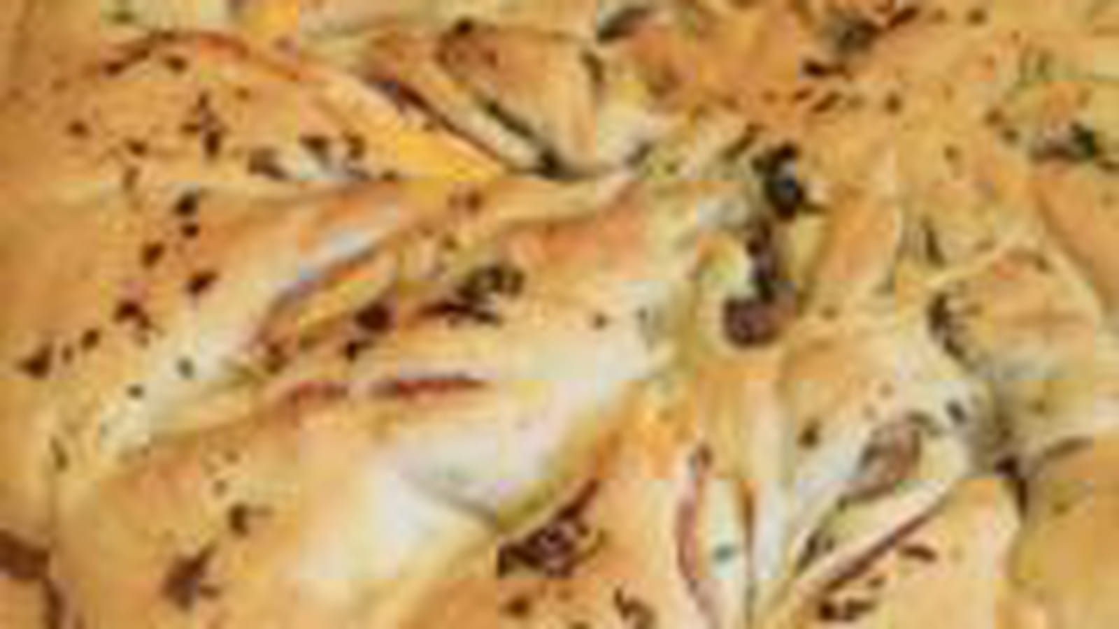 Pizza étoilée