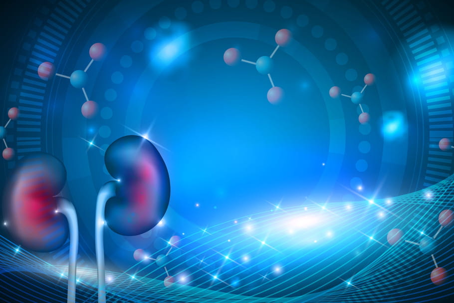 Cystinose : définition, symptômes, traitement et espérance de vie