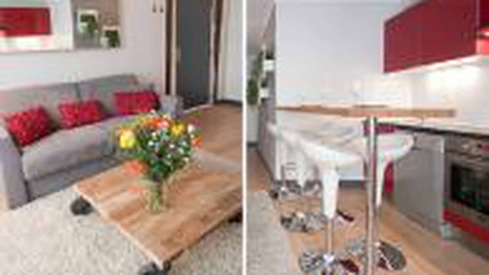 Salon et cuisine