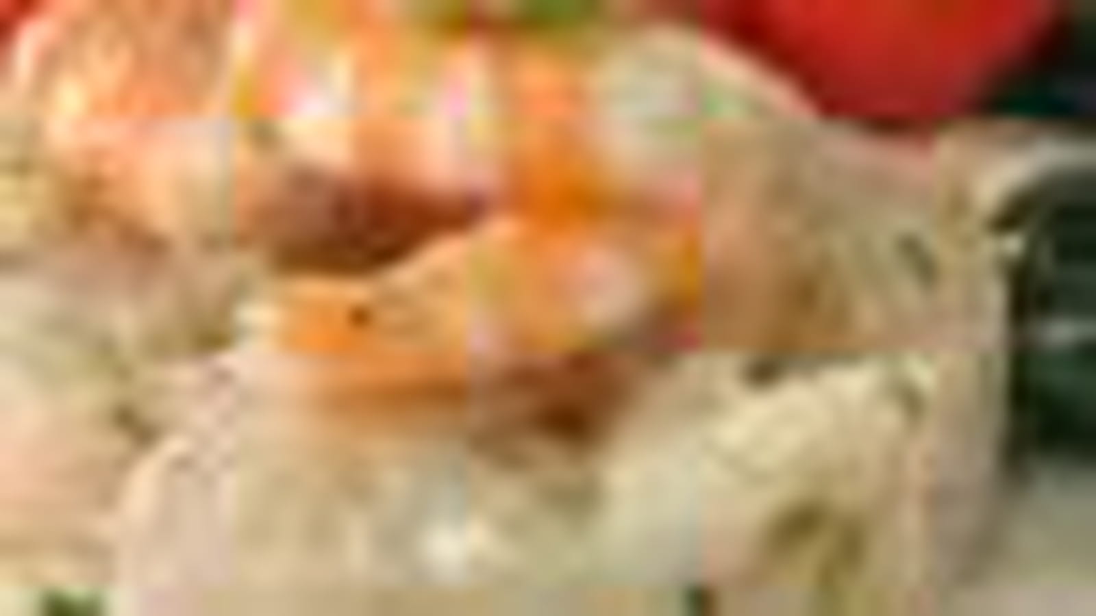 Daurade-crevettes