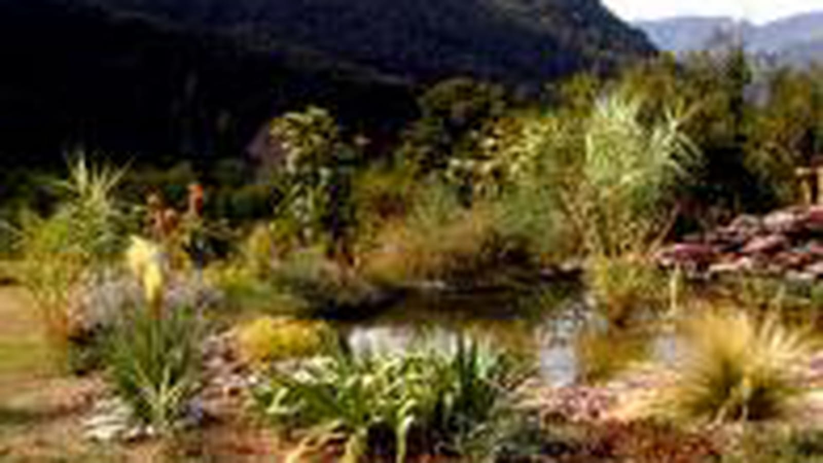 Dans les Alpes-Maritimes