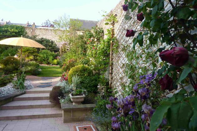 Un floril&egrave;ge de plantes