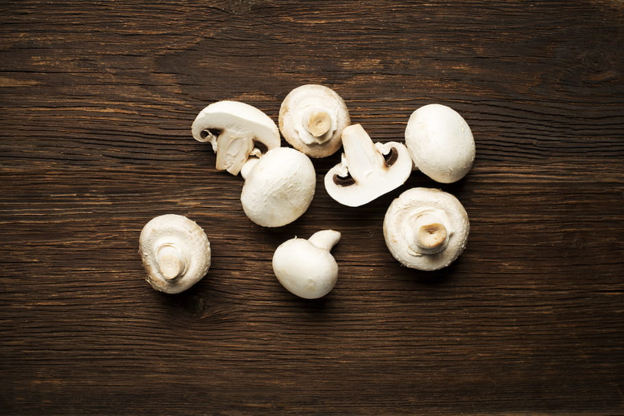 Comment conserver les champignons ?