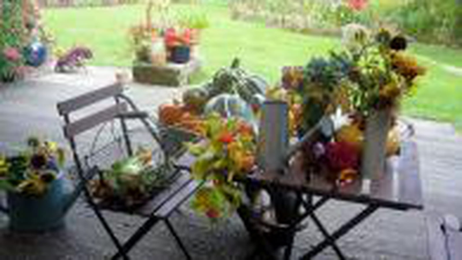 Courges