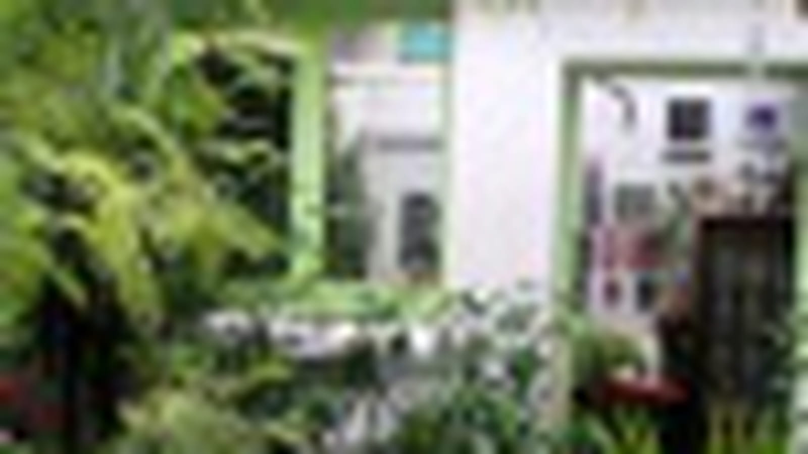 Jardin