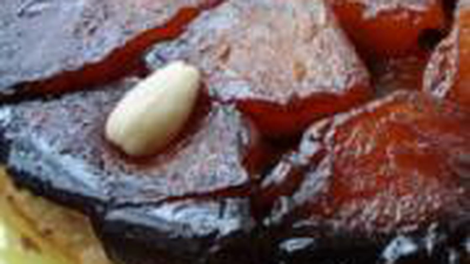 Tarte tatin aux fruits secs