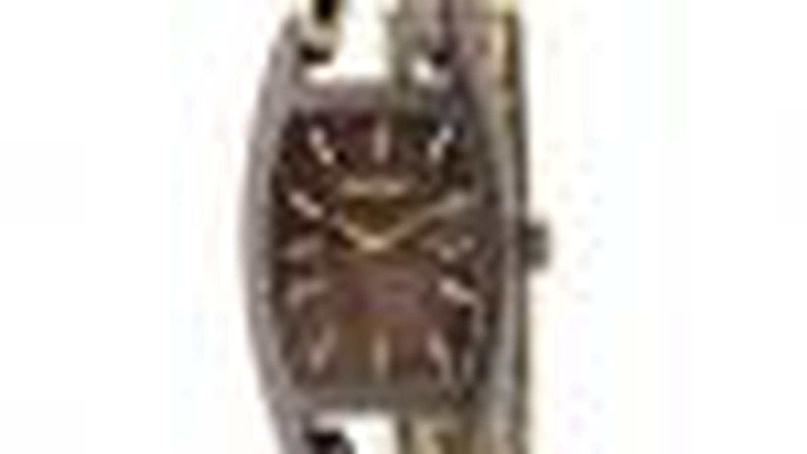 Montre DKNY