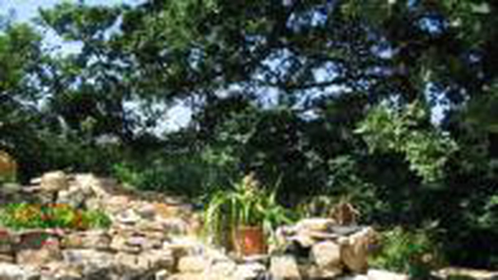Dans le Languedoc-Roussillon
