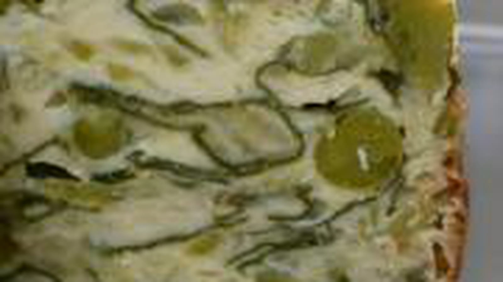 Terrine printanière