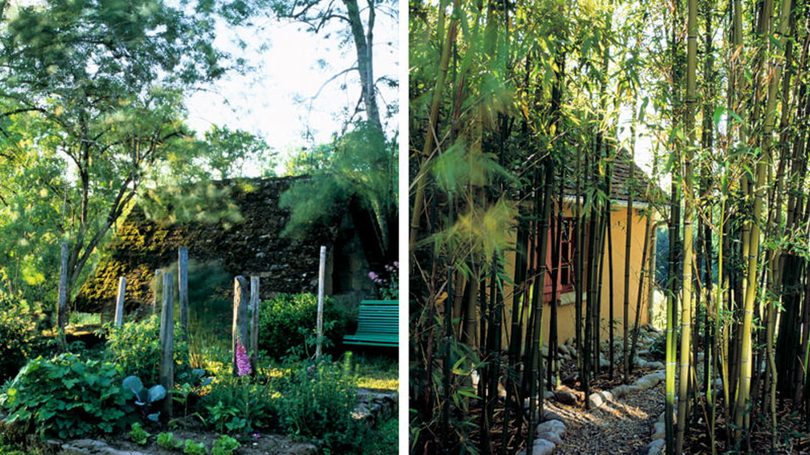 Potager et bambouseraie