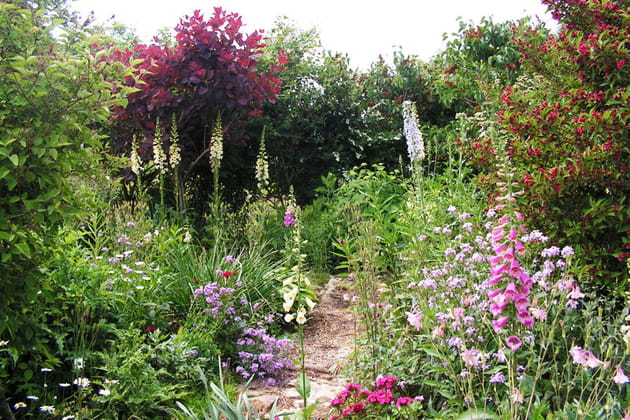 "Une sensation de liberté"